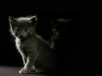Dark Wallpaper Karanl K Mas St Resimleri