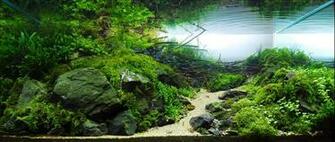 Aquascape Wallpaper Top Background