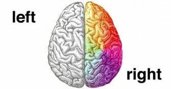 Left Brain Right Wallpaper