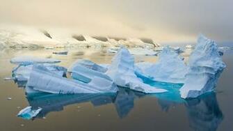 Artic Sentinels Desktop Wallpaper