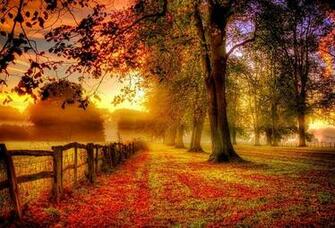 Wallpaper Park Tree Leaves Path Autumn Fall Walk Sunset Desktop