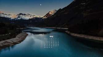 May Wallpaper Bies For Desktop Phones