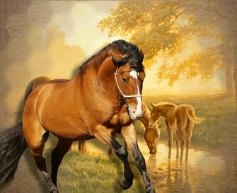Wild Horse Wallpaper