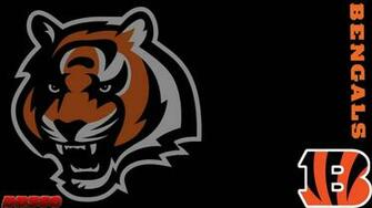 End Zone Cincinnati Bengals By Devildog360