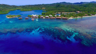 Roatan Shipwreck Snorkel Tour