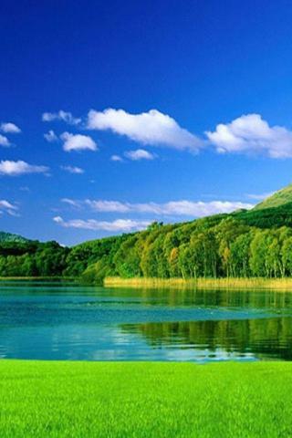 Iwallpaper Beautiful Green Nature Lake And Forest iPhone