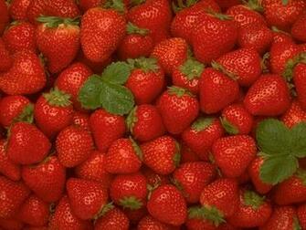 Strawberry Wallpaper Fruit