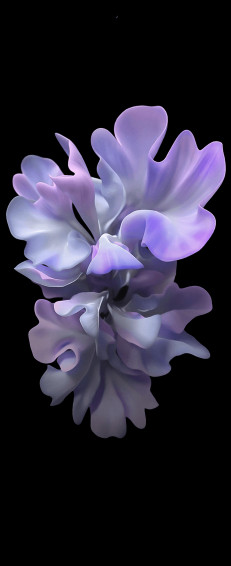 Galaxy Z Fold Wallpaper Mobcup