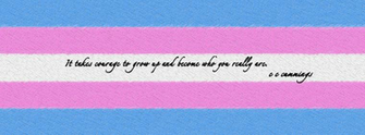 Cover Transgender Flag By Kabit
