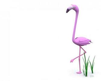 3d Cartoon HD Wallpaper Flamingos Artwork Funny Animation