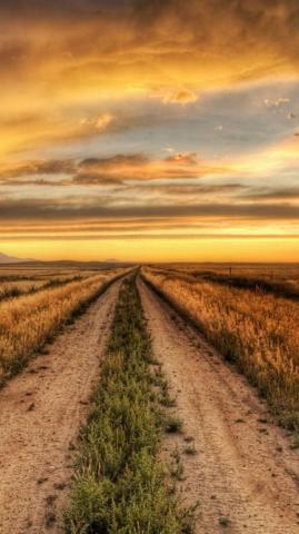 Nature Road Wallpaper HD Long Vertical