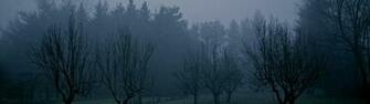 Fog Amp Gloom