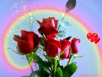 Red Roses Love Wallpaper