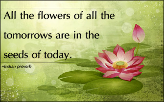 Inspiring Flower Quotes At Joan Kneeland Wallpaper