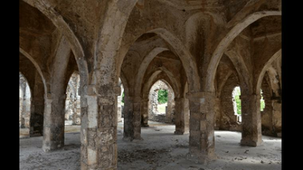 Ruins Of Kilwa Kisiwani And Songo Mnara Tanzania Apsaidal