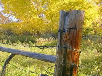 New Mexico Wallpaper