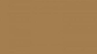 Light Brown Wallpaper HD Jpg