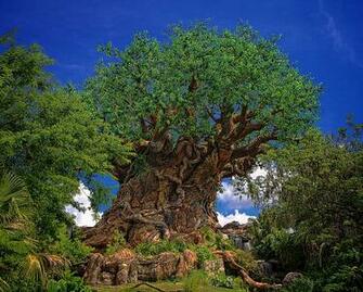 Animal Kingdom Disney World