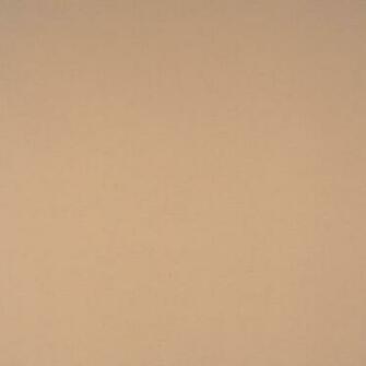 Beige Neutral Solid Drapery And Upholstery Fabric Orange