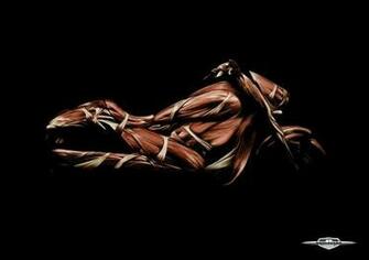 Bikes Wallpaper Boulevard M109r