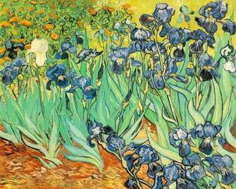 Wallpaper Photo Art Vincent Van Gogh Painting