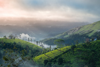 Vagamon Pictures Image