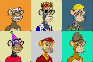 Bored Ape Yacht Club The Nft Collectable Craze