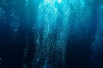 Photography Of Blue Water Photo Underwater Image