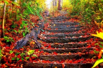 Most Beautiful Wallpaper Ever Best HD