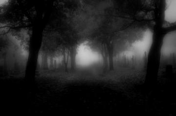 Dark Scary 4k Wallpaper Trick Background