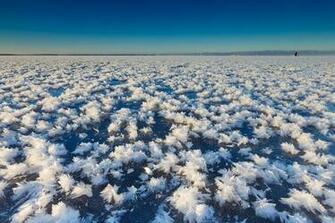 Iceflowers Wallpaper For Amazon Kindle Fire HD