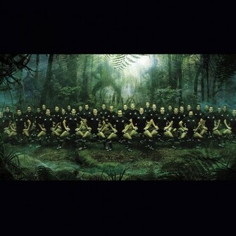 New Zealand All Blacks Wallpaper Haka