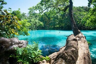 Some Photo Of Jamaica Best Wallpaper S