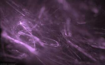 Purple Haze Wallpaper