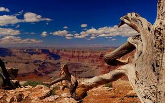 Magnificent Grand Canyon Wallpaper IwallHD HD