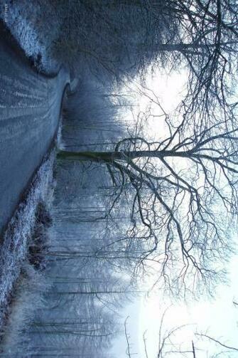 Frosty Lane Desktop Wallpaper Iskin Co Uk
