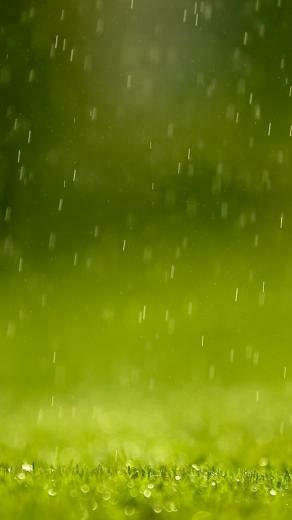 Rain iPhone 5s Wallpaper iPad