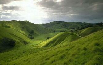 Grassy Hills Wallpaper Desktop