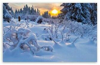 Winter Sun HD Desktop Wallpaper High Definition Fullscreen