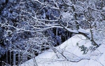 Winter Wonderland Desktop Wallpaper HD Background