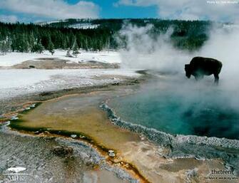 Pics Photos Yellowstone Background Desktop