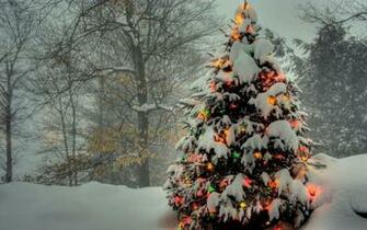 Christmas Tree 1080p Holidays Wallpaper New HD