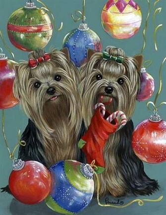 Animals Postcards Christmas Wallpaper Clipart For Xmas