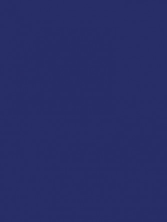 Navy Blue Dark Solid Color Graphic T Shirt