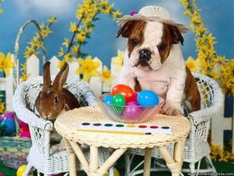 Desktop Wallpaper Animals Background Easter Tea Party