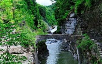 Green Wood Stream Stone Bridge Wallpaper