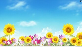 Summer Background And Wallpaper HD