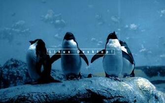 Linux Wallpaper Hq