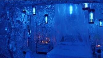 Let S Wallpaper The House With Aluminum Foil Pick Imaginary Bugs Off
