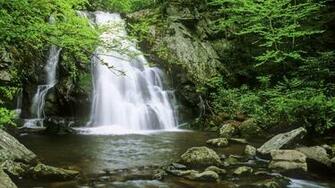 Forest Waterfall Wallpaper